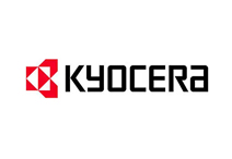 亚洲亚洲人成综合网络