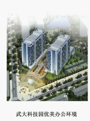 亚洲亚洲人成综合网络