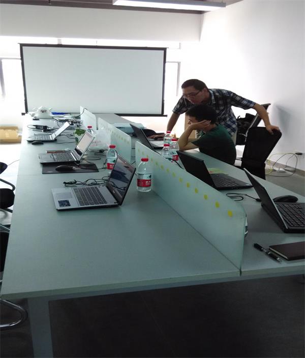 国家电网公司领导参与研讨会