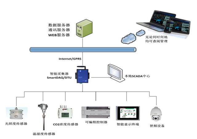 亚洲亚洲人成综合网络