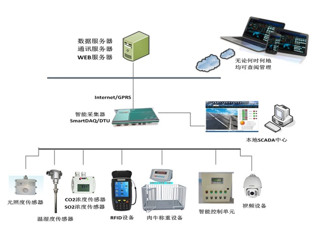 农业物联网肉牛智慧养殖系统方案1