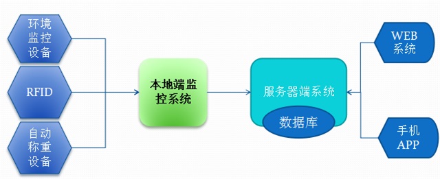 亚洲亚洲人成综合网络