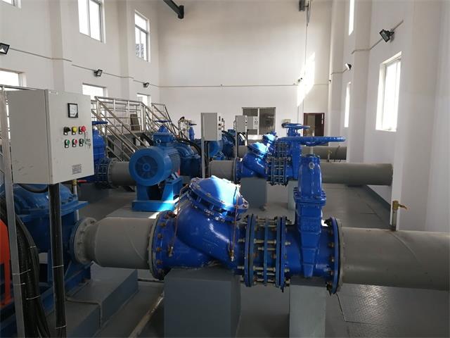 亚洲亚洲人成综合网络