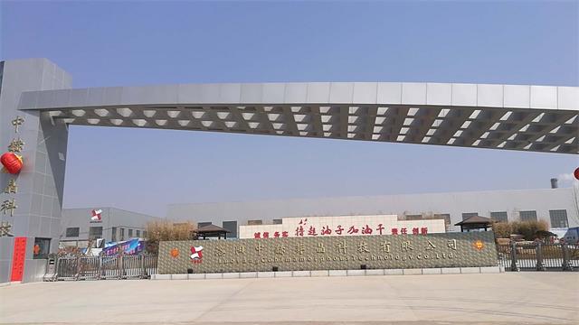 亚洲亚洲人成综合网络