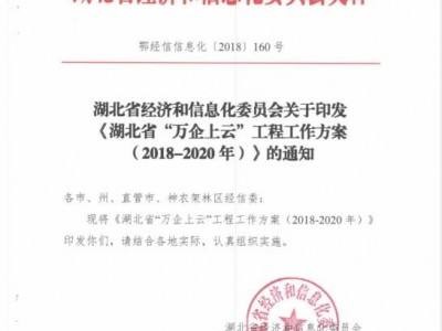 亚洲亚洲人成综合网络