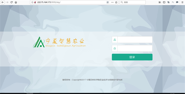 亚洲亚洲人成综合网络