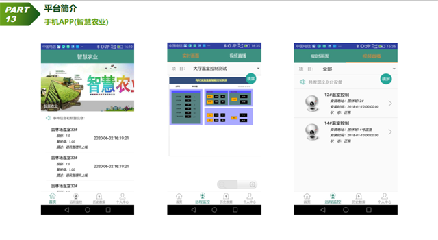 亚洲亚洲人成综合网络