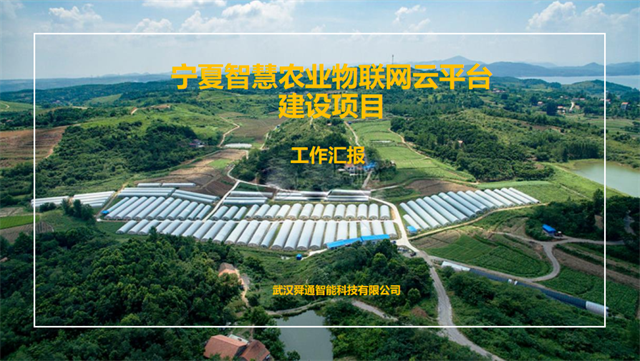 亚洲亚洲人成综合网络