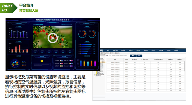 亚洲亚洲人成综合网络