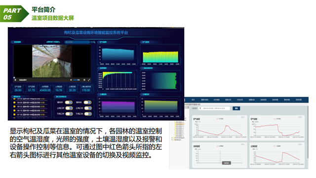 亚洲亚洲人成综合网络