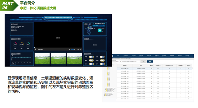 亚洲亚洲人成综合网络