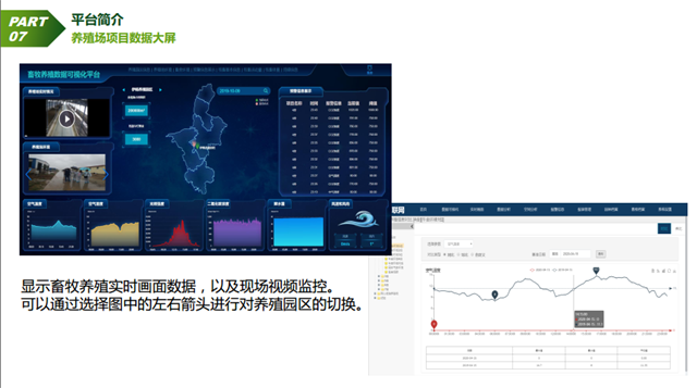 亚洲亚洲人成综合网络
