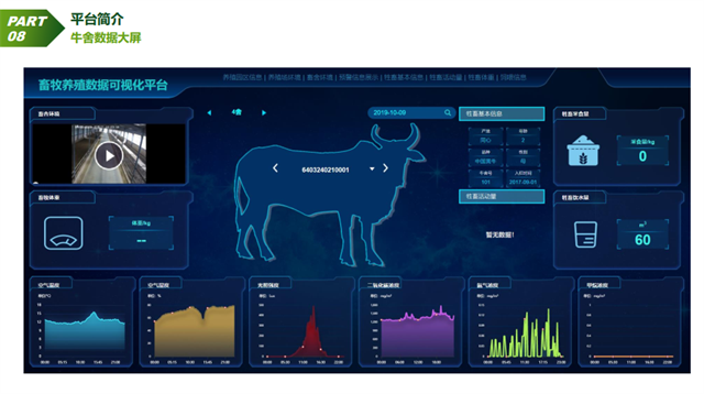 亚洲亚洲人成综合网络
