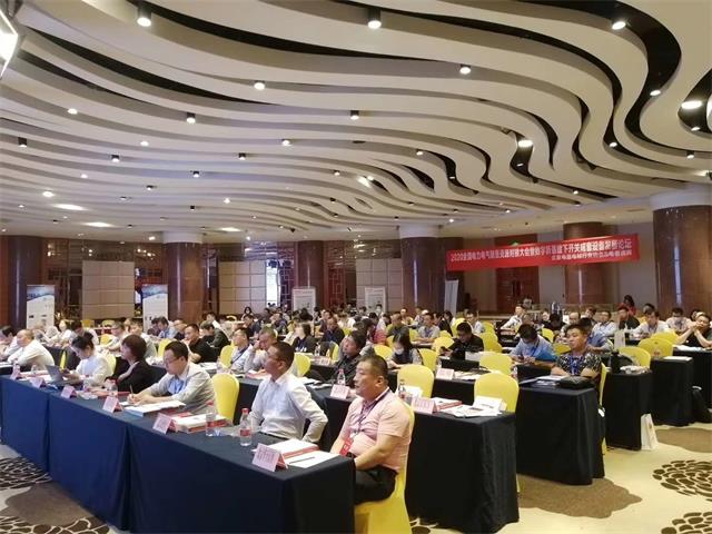 亚洲亚洲人成综合网络