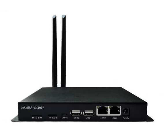 亚洲亚洲人成综合网络