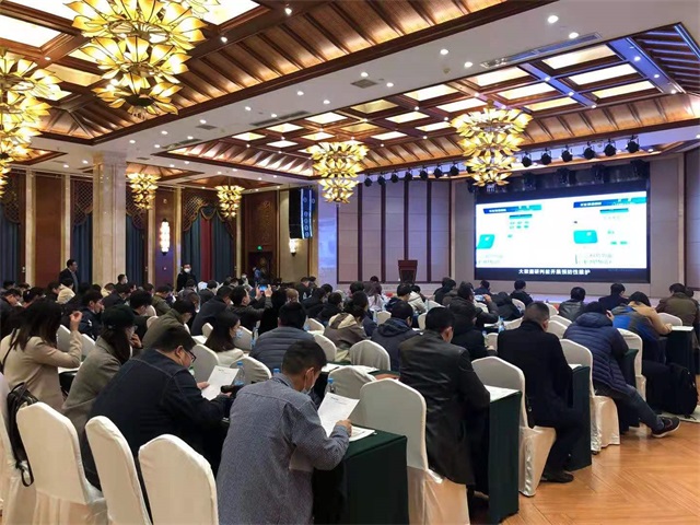 亚洲亚洲人成综合网络