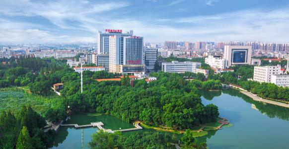 亚洲亚洲人成综合网络