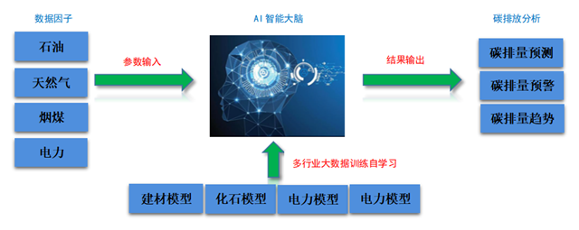 亚洲亚洲人成综合网络