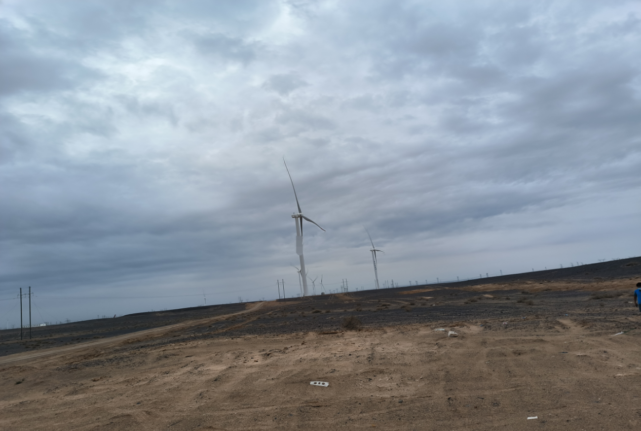 亚洲亚洲人成综合网络